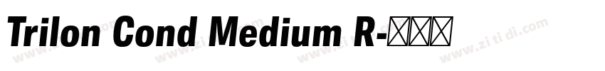 Trilon Cond Medium R字体转换